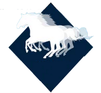 Randonnées Cheval - La Palissade